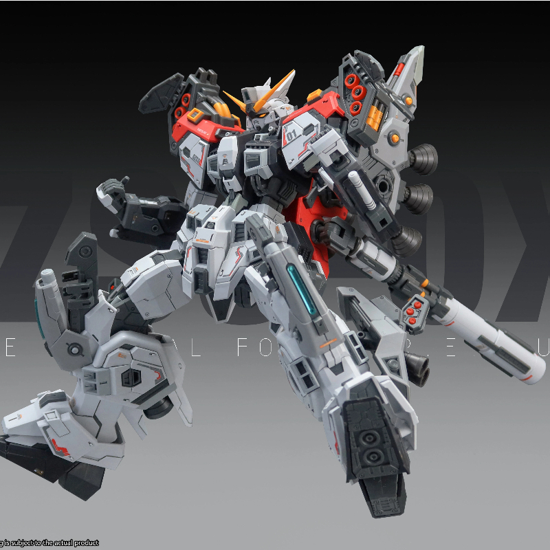 New 1/100 ZZA Model MG REGUS G - огляд і ціна Model Kit Regus