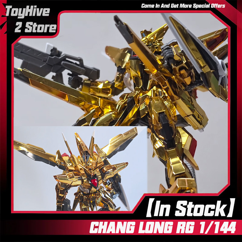 【In Stock】CHANGLONG 5506 RG 1/ - огляд і ціна Model Kit Pg