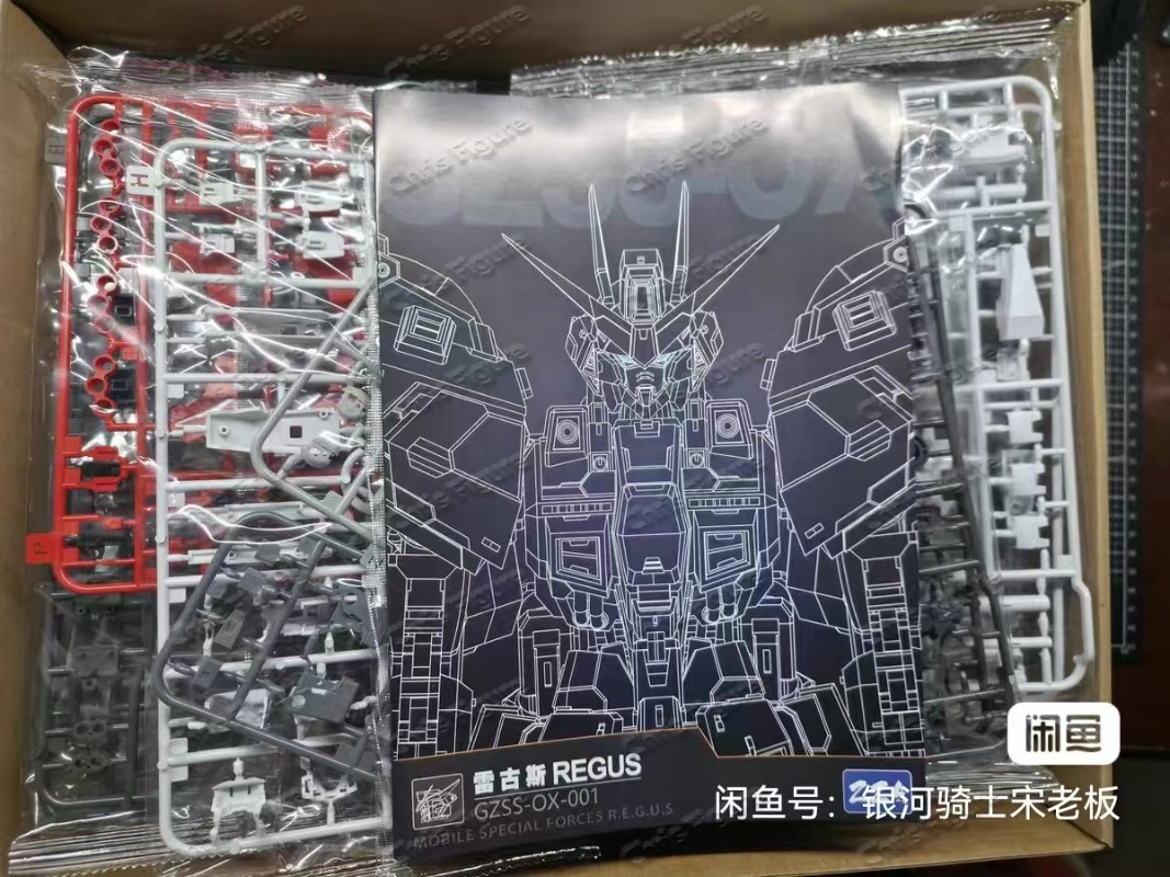 In Stock ZZA REGUS GZSS-OX-001 - огляд і ціна Model Kit Regus