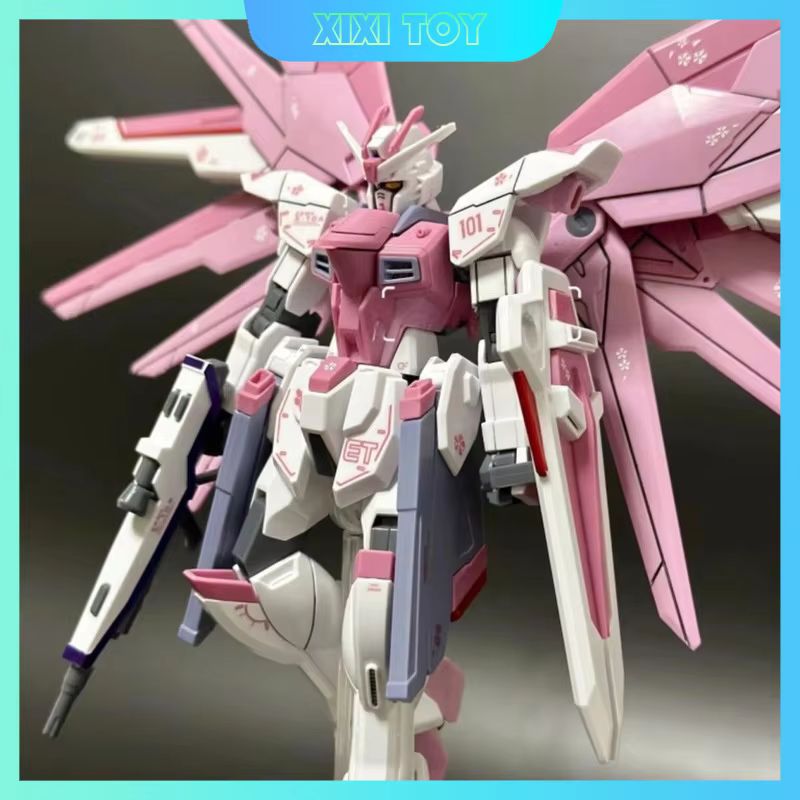 JMS HG 1/144 ZY-06 Freedom Ass - огляд і ціна Model Kit Pg