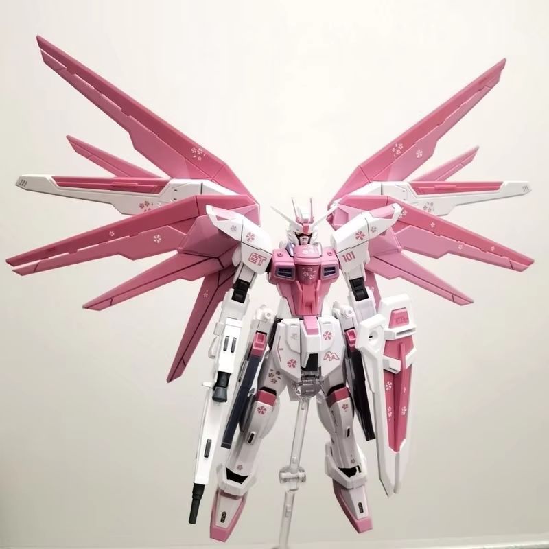 JMS HG 1/144 ZY-06 Freedom Ass - огляд і ціна Model Kit Pg
