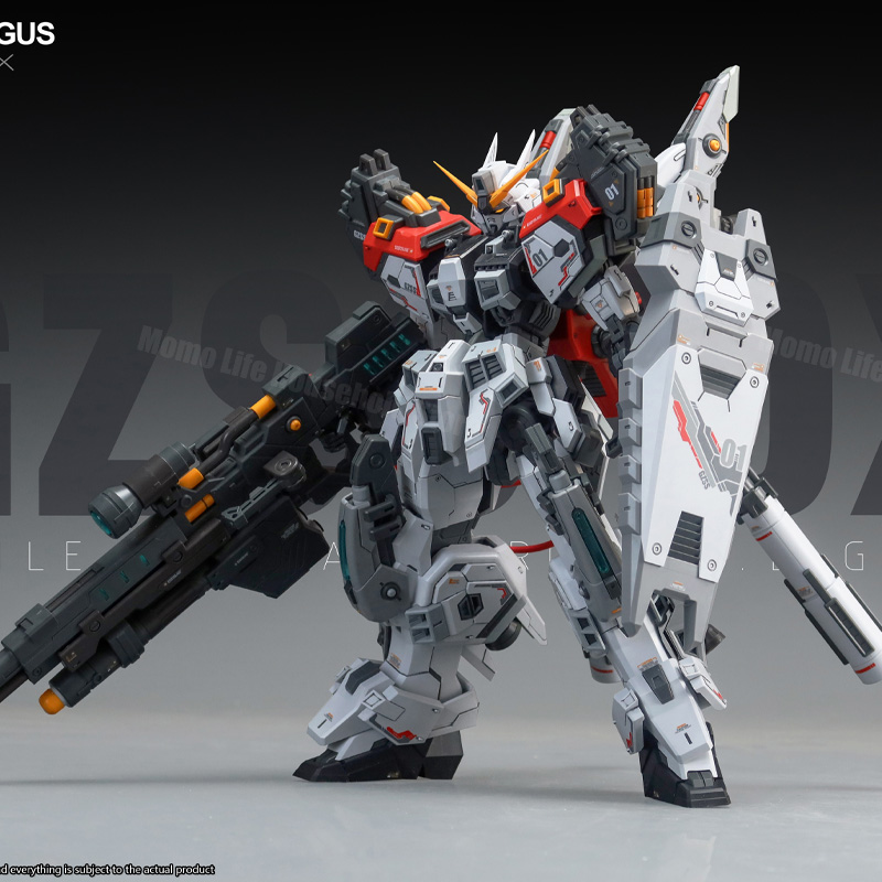 New ZZA Model 1/100 MG REGUS G - огляд і ціна Model Kit Regus