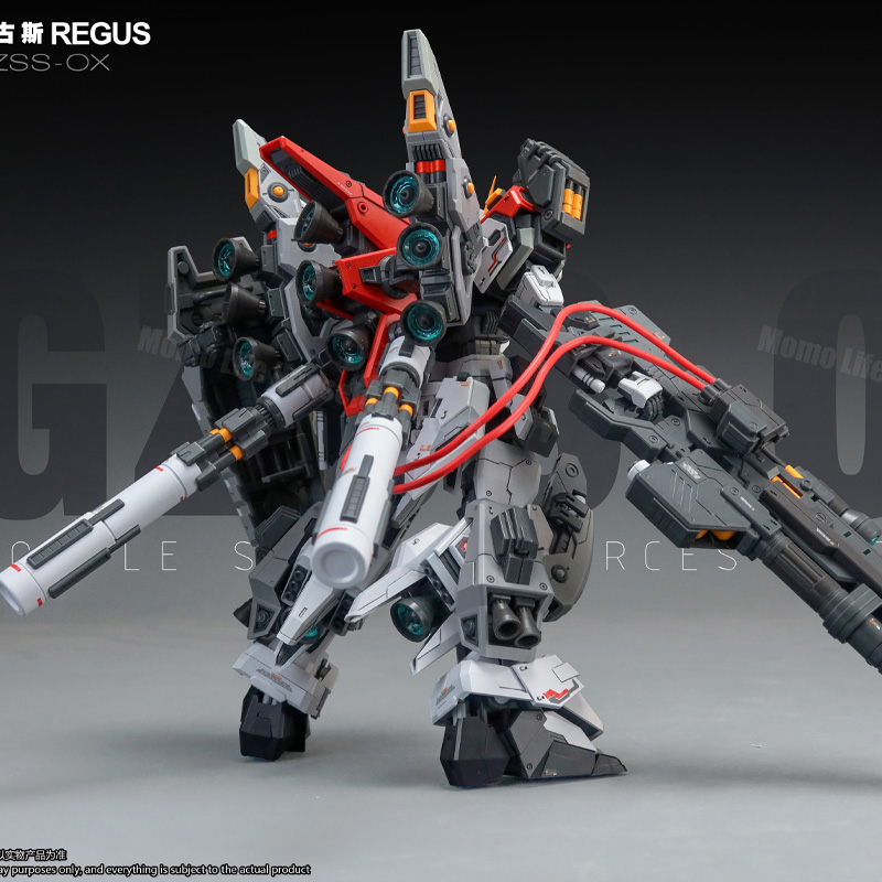 New ZZA Model 1/100 MG REGUS G - огляд і ціна Model Kit Regus
